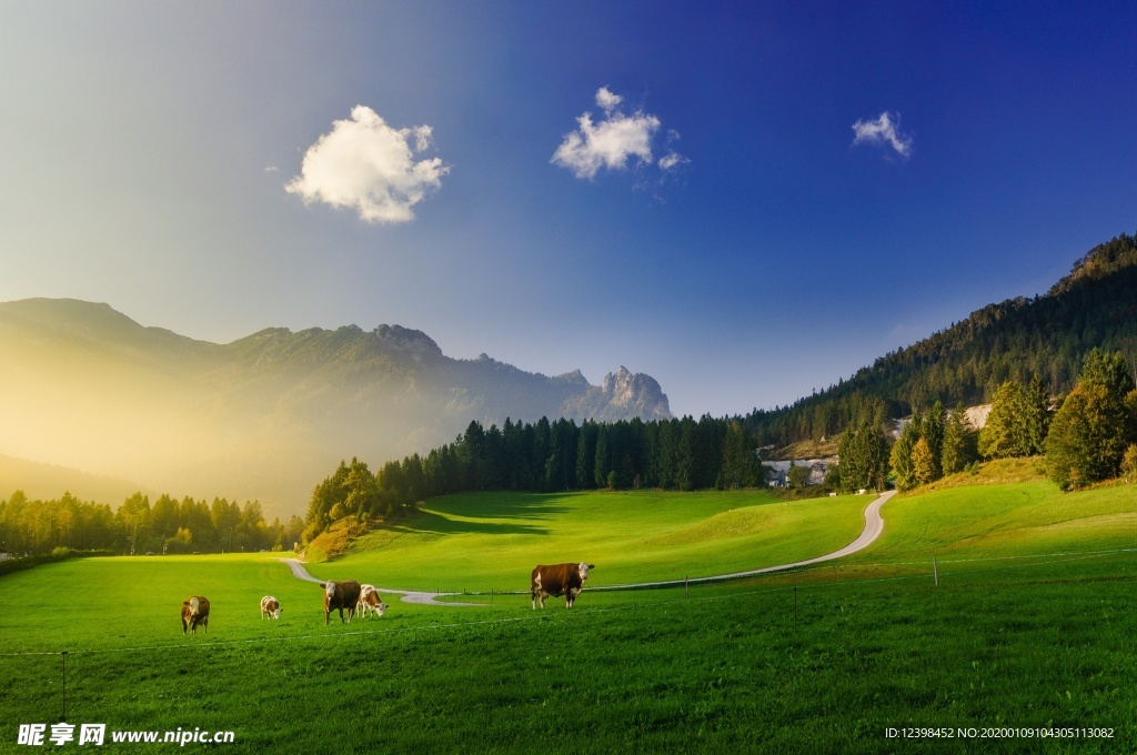 阿尔卑斯山美景
