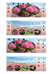 万亩花海门票
