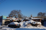 东北雪地