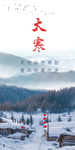 大寒地产海报
