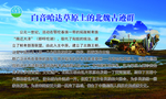 白银哈达