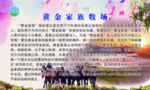 黄金牧场