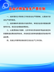 总会计师安全生产责任制