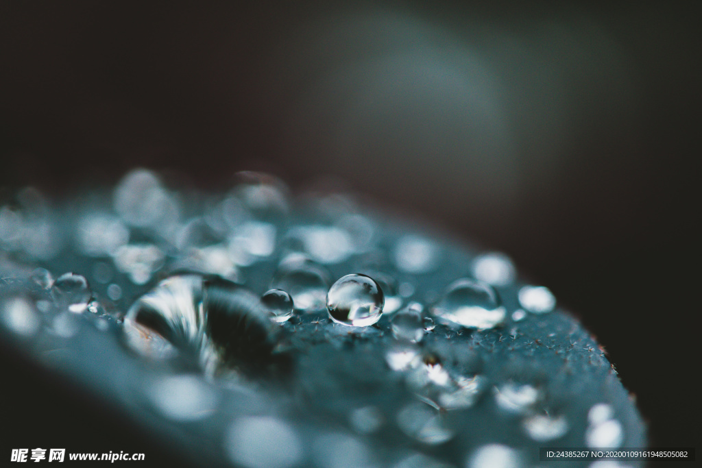 雨水露珠