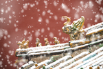 故宫的雪