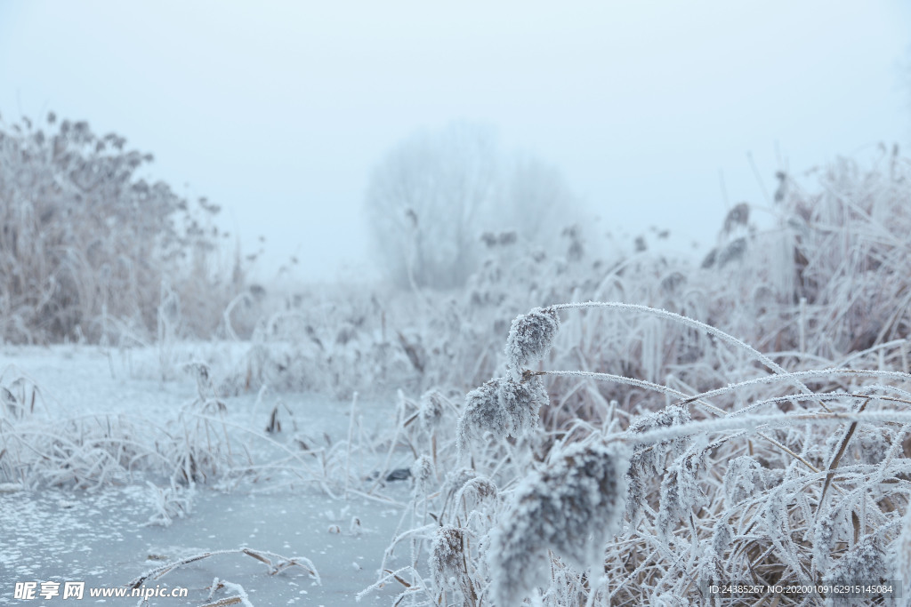 雪