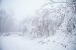 雪