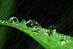 雨水