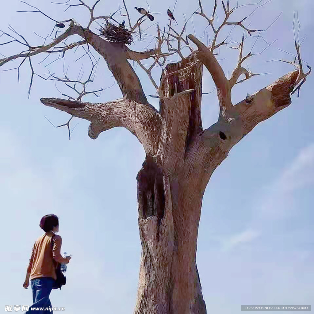 活着都是希望