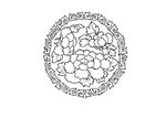 中国古典花纹