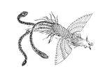 中国古典花纹