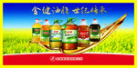 金健菜籽油油