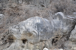 乡村