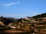 乡村旅游
