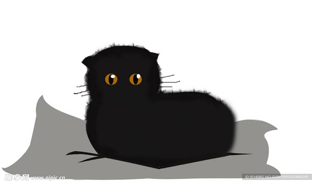 猫