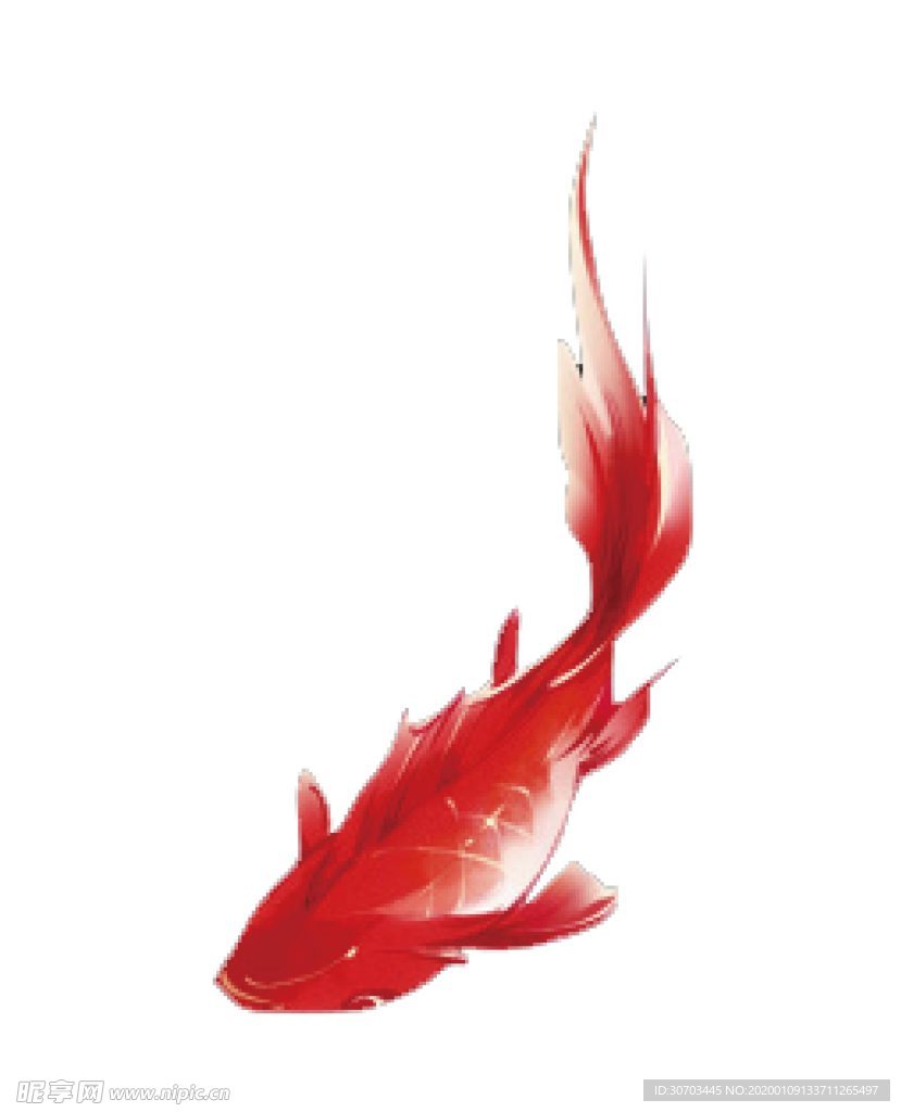 春节锦鲤鱼