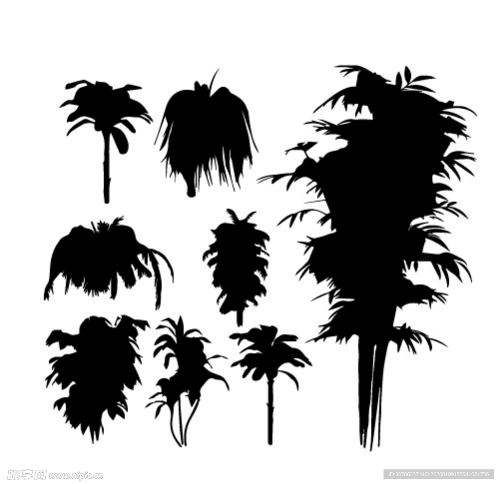椰子树  剪影