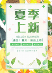 夏季上新