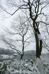 雪景景观