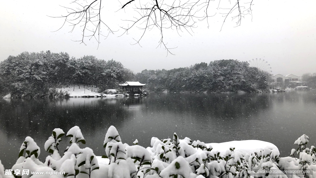 公园雪景