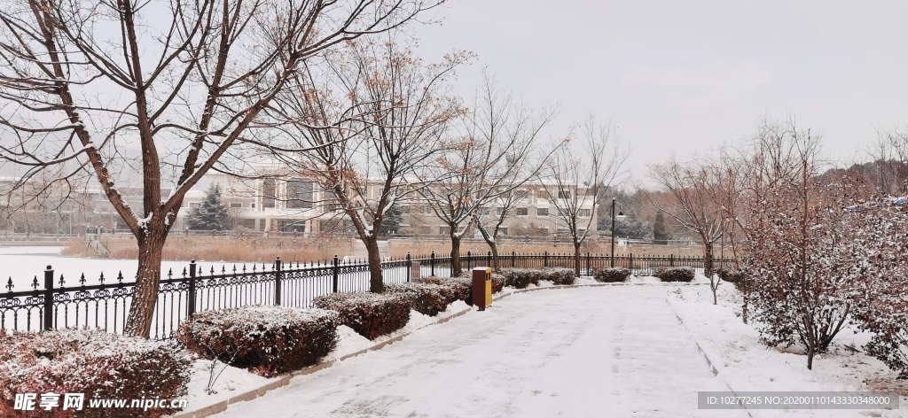 雪景