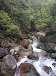 婺源风光 婺源风景 大樟山卧龙