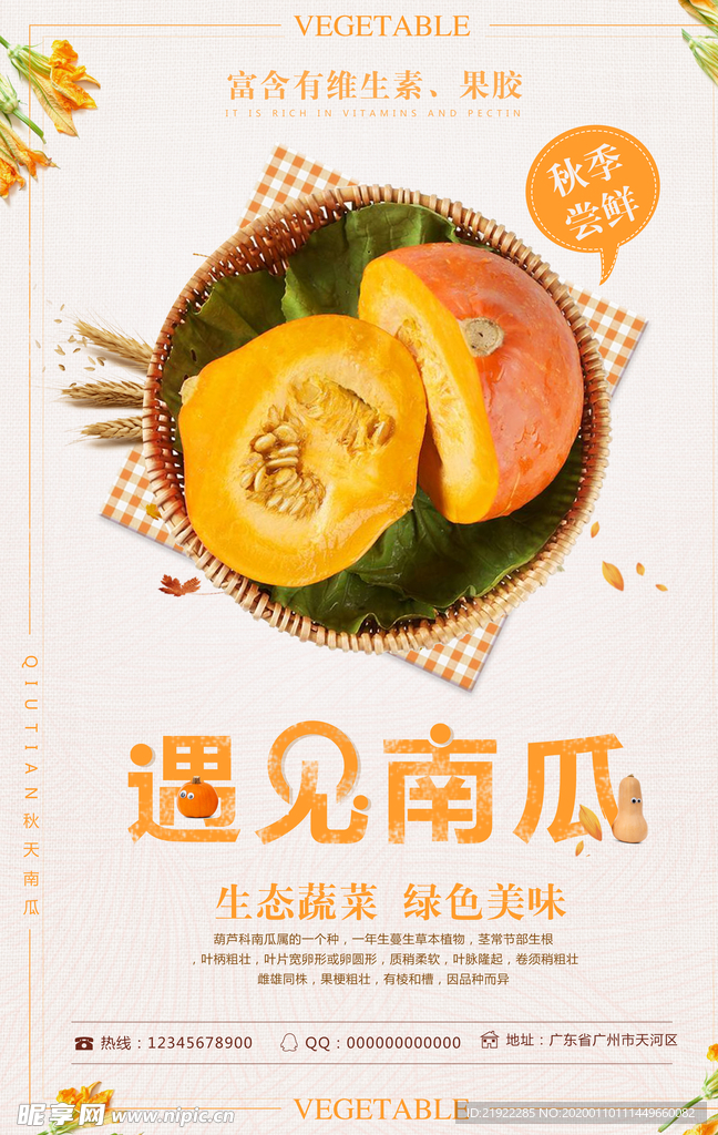 贝贝小南瓜