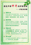 护肤四步骤