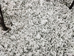 冬雪