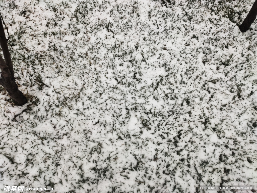 冬雪