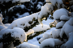 雪天
