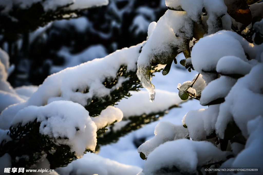 雪天