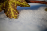 雪天