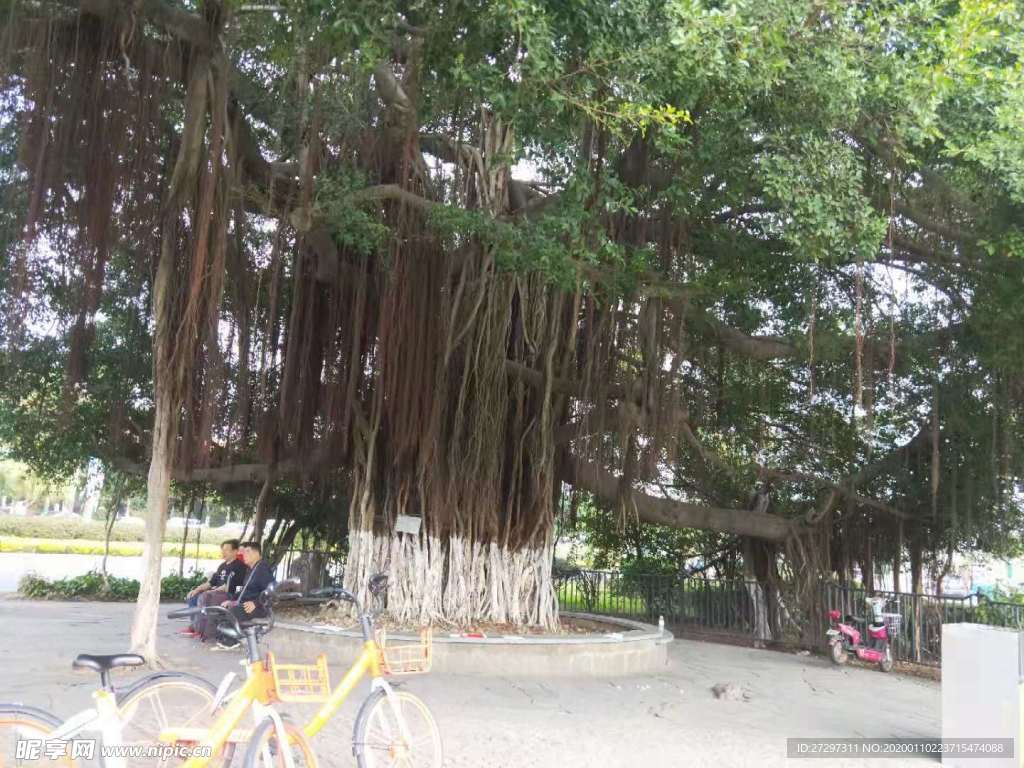 风景