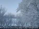雾凇 树挂 积雪 东北 冬天