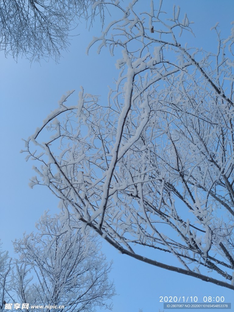 雾凇 树挂 积雪 东北 冬天