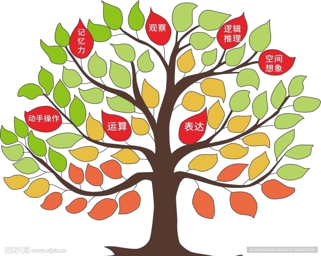 智慧树