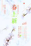 早春上新图片