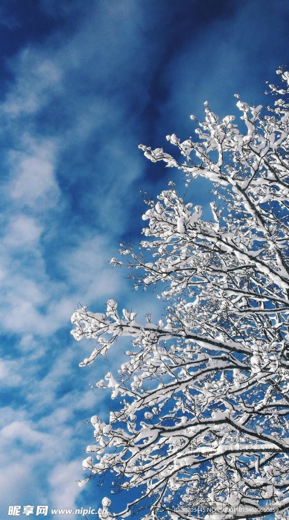 雪花