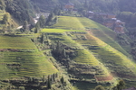 龙脊梯田