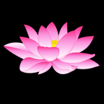 手绘矢量荷花莲花插画插图