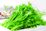 茼蒿