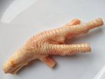 生鸡脚 鸡爪 新鲜 凤爪原料