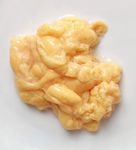 鸡油 油脂 黄色 食品 白底
