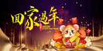 回家过年