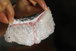 鱼片