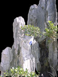 假山奇石