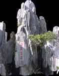 假山 奇石 风景石 园林素材