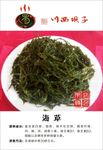 海草