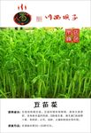 豆苗菜
